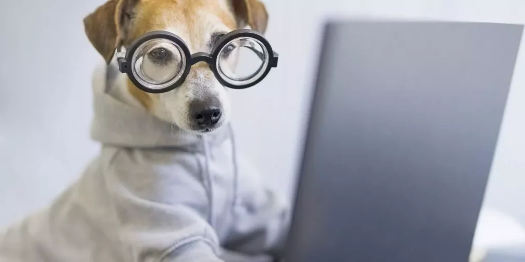 Top Smart Pet Products to Make Traveling With Your Pet Easier Top Smart Pet Products to Make Traveling With Your Pet Easier