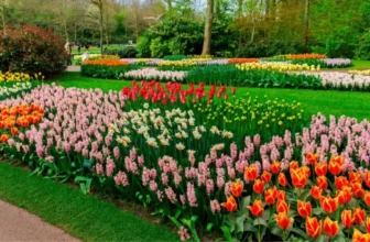 What Are the Latest Trends in Garden Design?