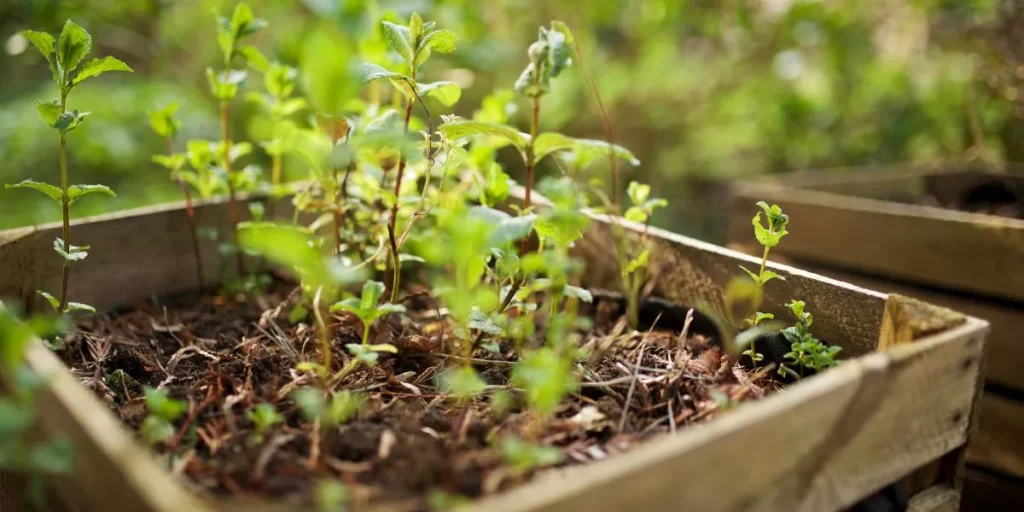 How Can You Childproof Raised Garden Beds? How Can You Childproof Raised Garden Beds?