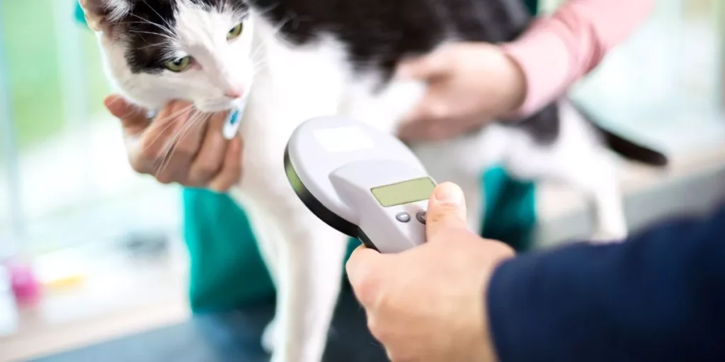 Using Smart Pet Devices to Track Your Pet’s Activity and Health Using Smart Pet Devices to Track Your Pet’s Activity and Health
