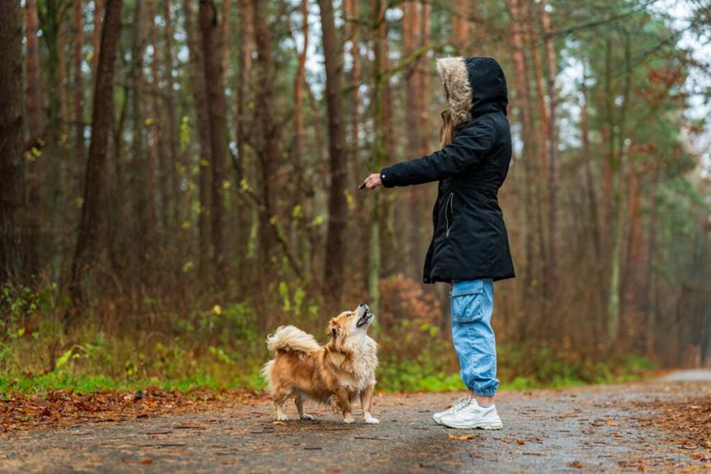 How Can Smart Sensors Help You Understand Your Pet’s Behavior?